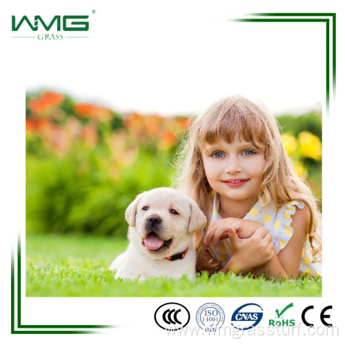 Pet Artificial Grass for Good Quality